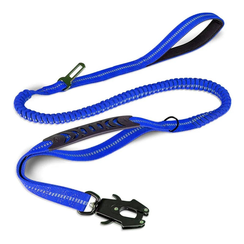 Belt - Petnivo