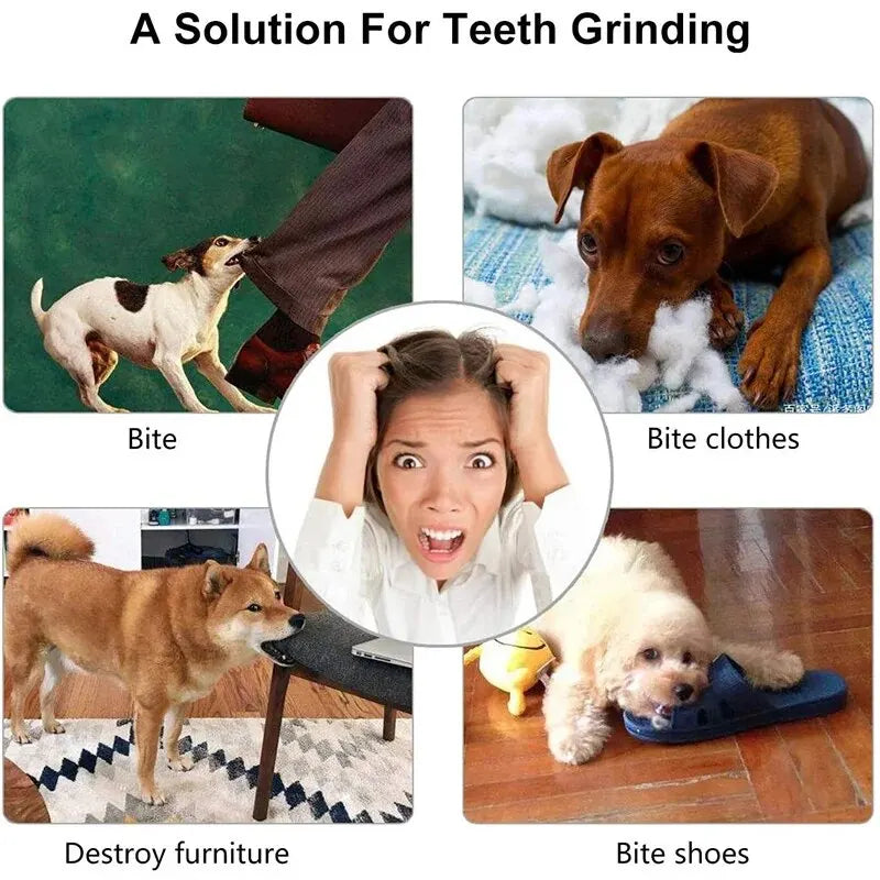 Dog Treat Dispensing Chew Ball