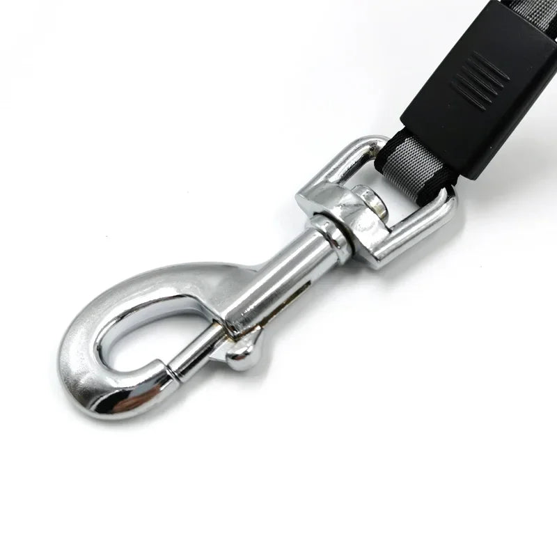 Retractable Dog Leash 5m 8m Nylon