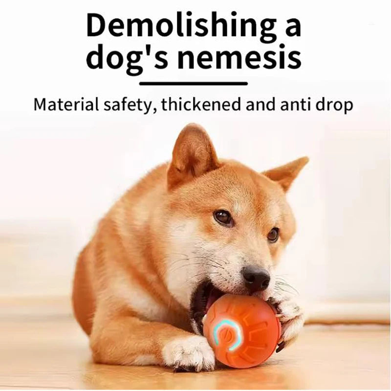 Automatic Moving Pet Toy Ball USB