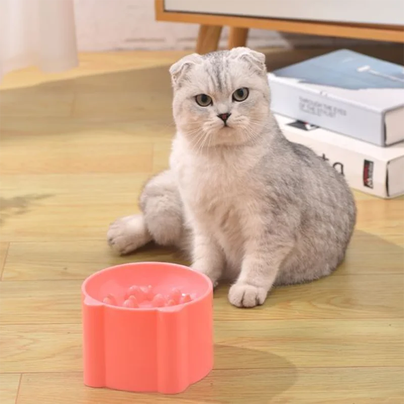 Cat Slow Feeder Bowl Anti Choking