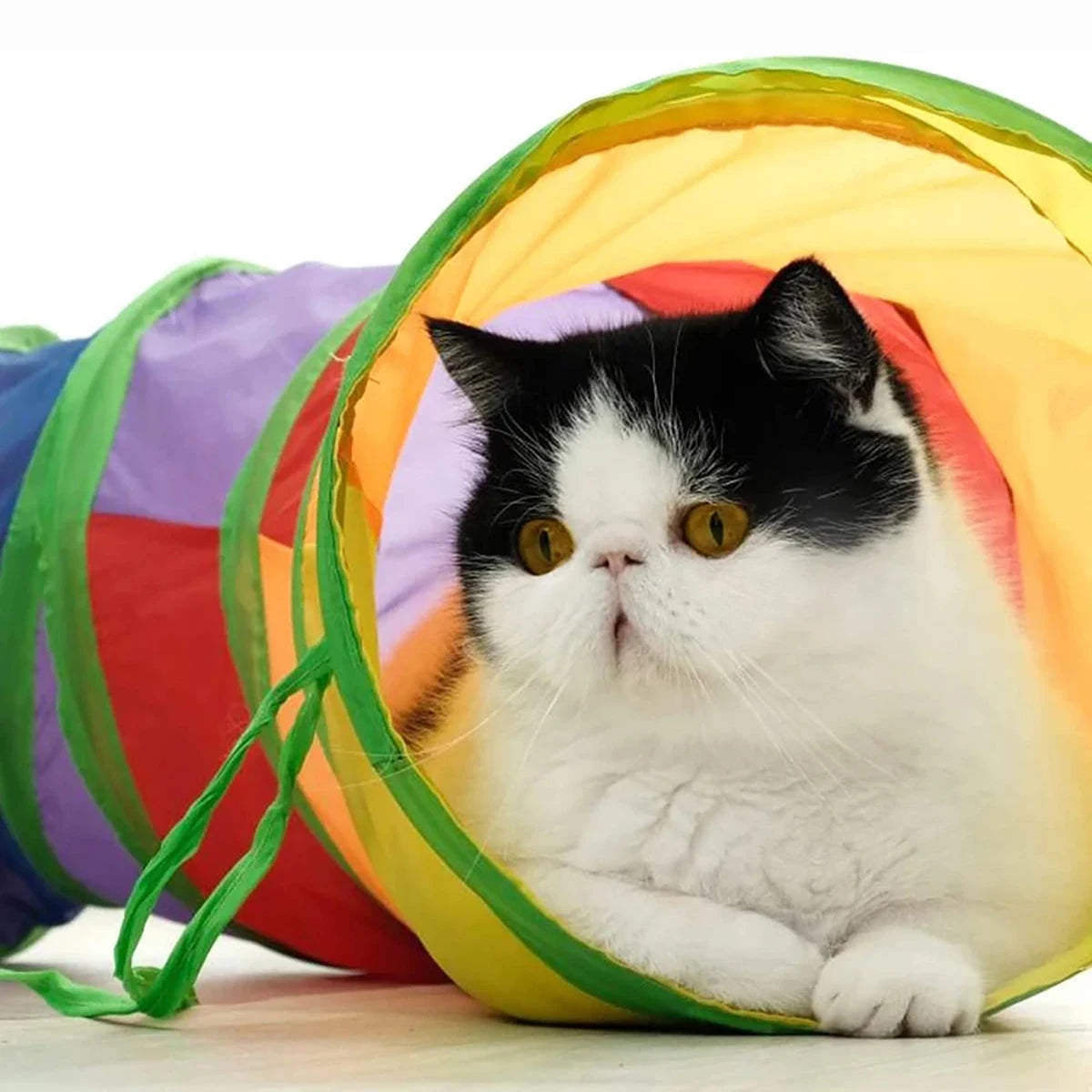 Foldable Cat Tunnel Interactive Toy