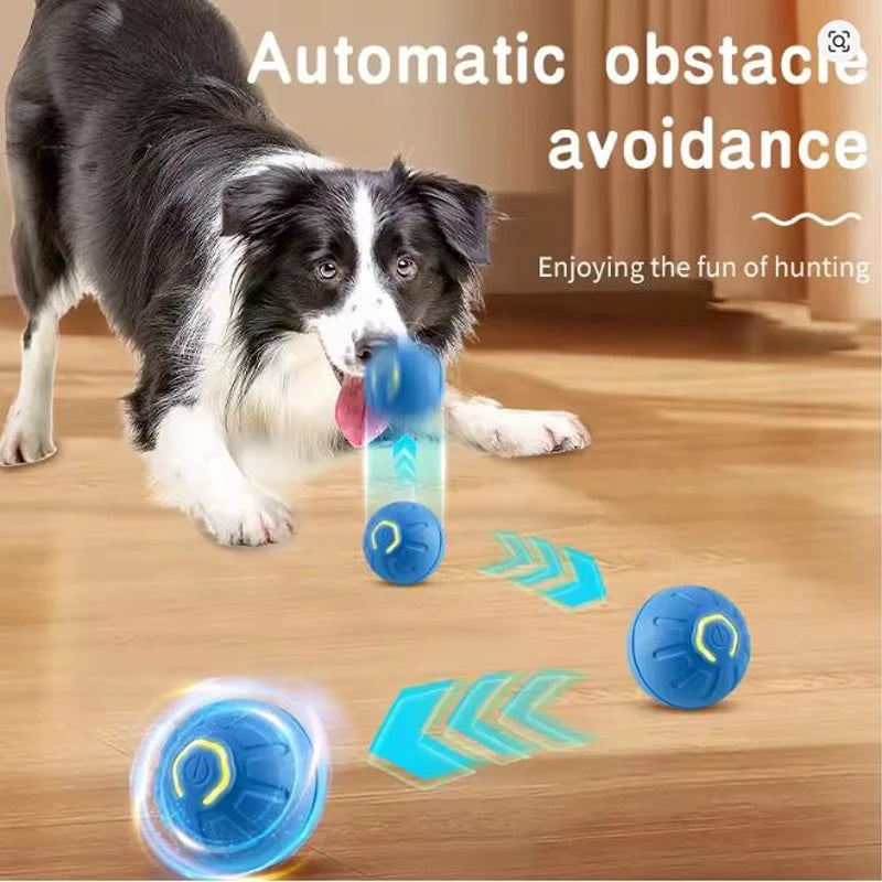 Automatic Moving Pet Toy Ball USB