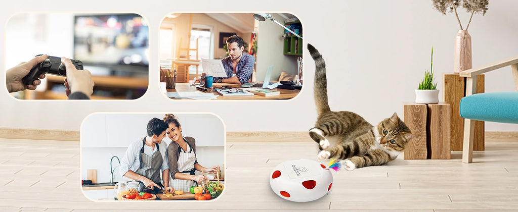 Interactive Cat Toy Whack A Mole