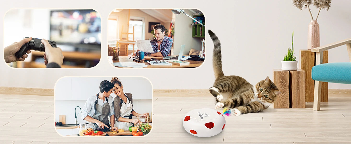 Interactive Cat Toy Whack A Mole