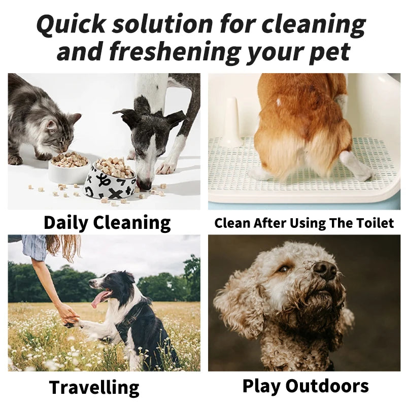 Pet Cleaning Wipes Disposable Deodorizing 80pcs