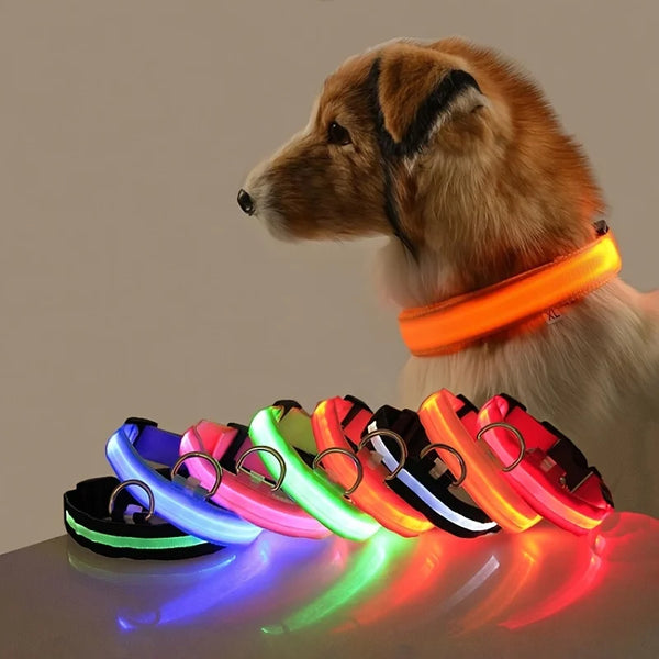 LED Dog Leash Glow Safety Collar