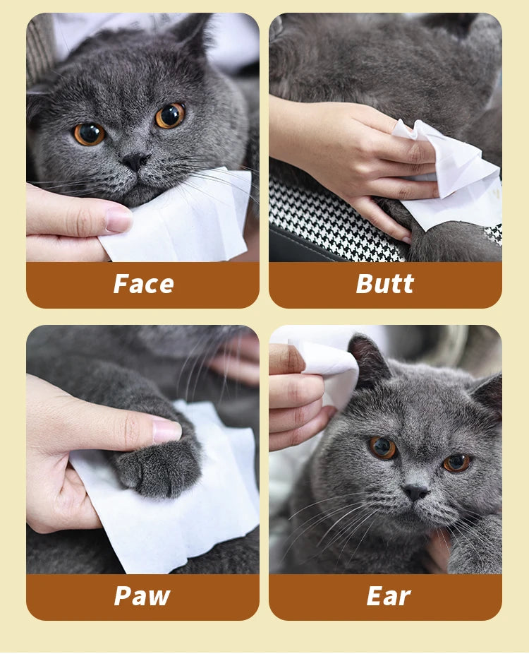 Pet Cleaning Wipes Disposable Deodorizing 80pcs