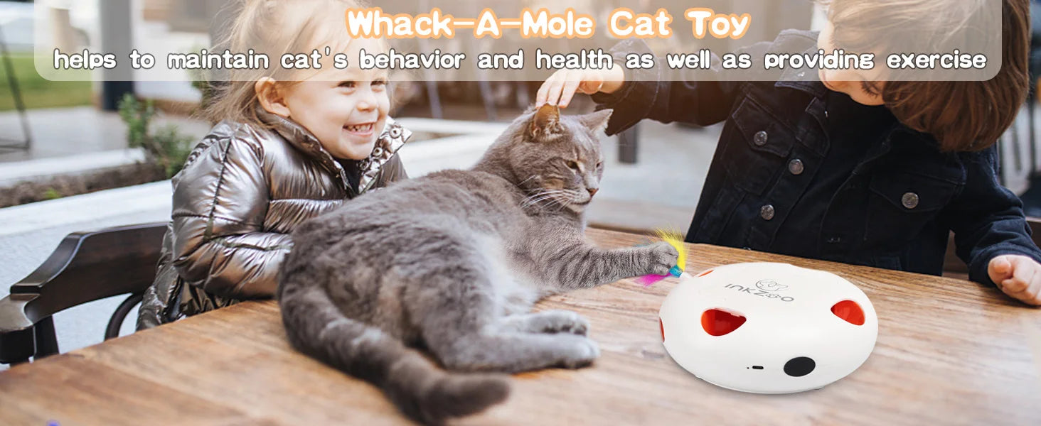 Interactive Cat Toy Whack A Mole