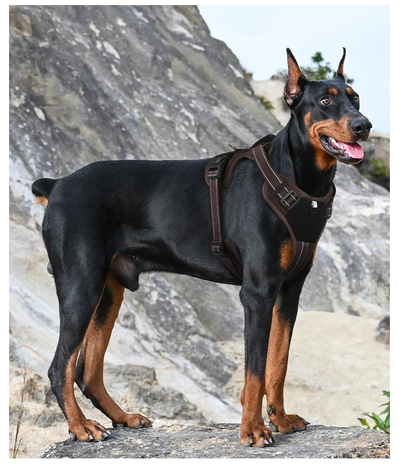 Tactical Dog Harness Reflective Vest Leash