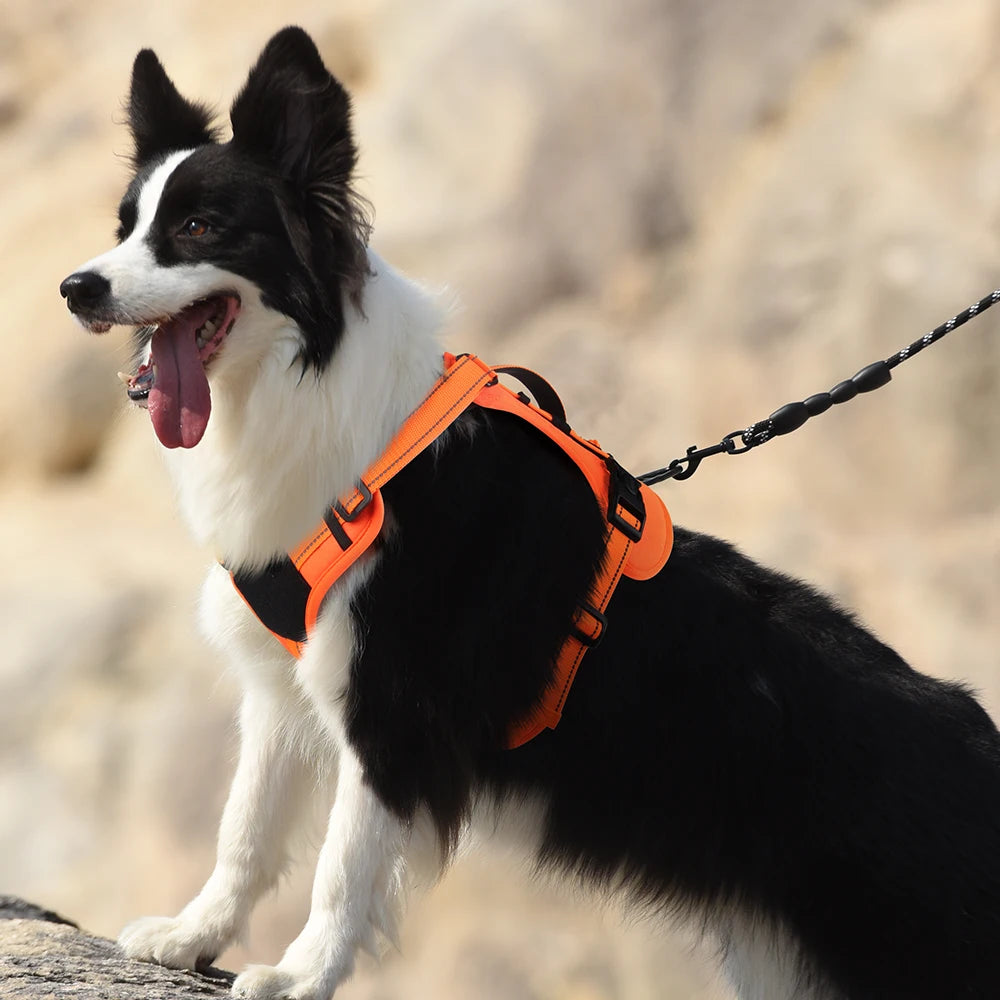 Tactical Dog Harness Reflective Vest Leash