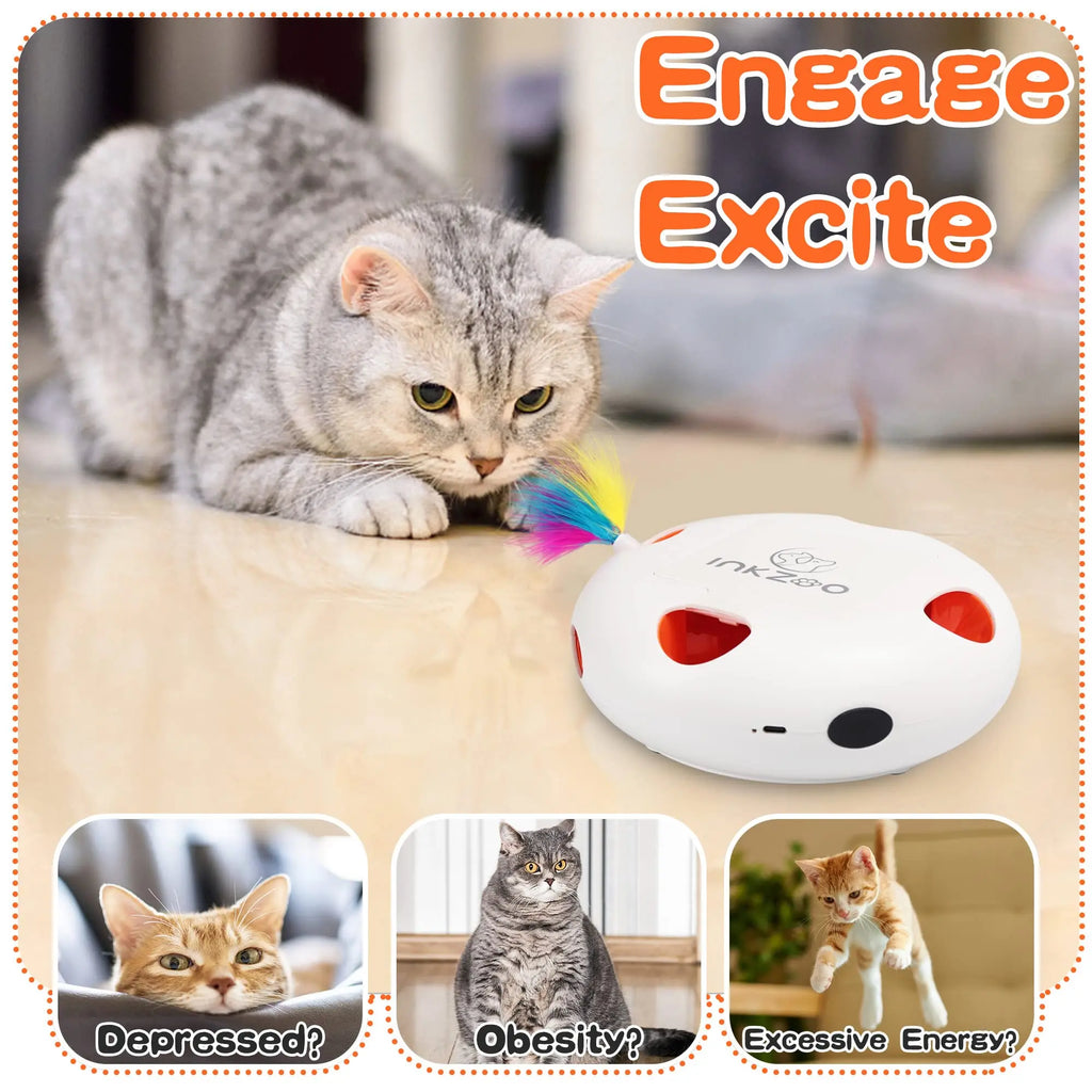 Interactive Cat Toy Whack A Mole