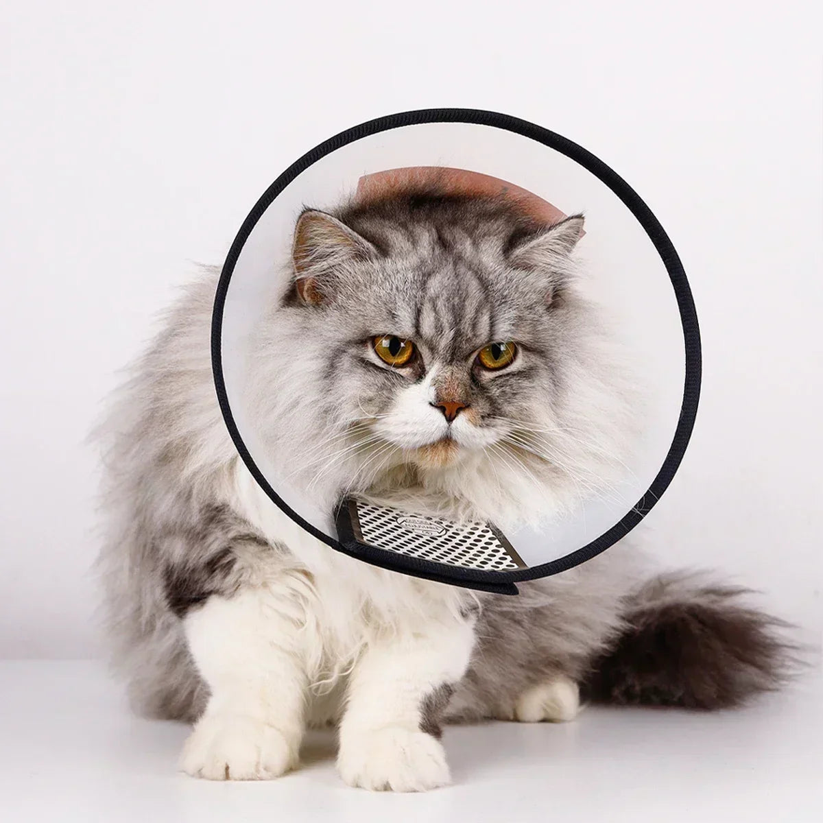 Pet Recovery Cone Collar Anti Bite