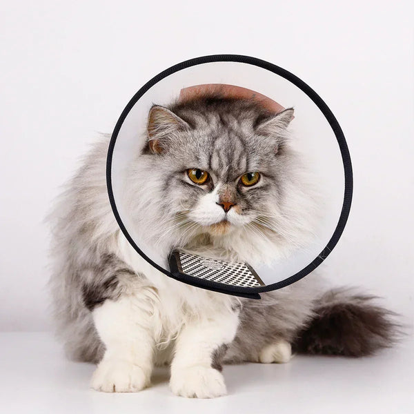 Pet Recovery Cone Collar Anti Bite