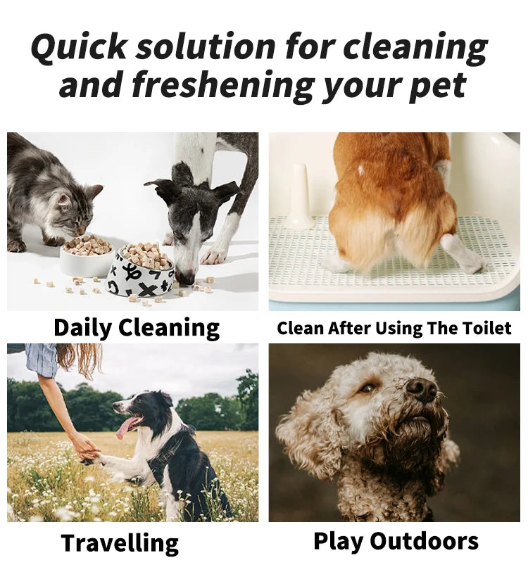 Pet Cleaning Wipes Disposable Deodorizing 80pcs
