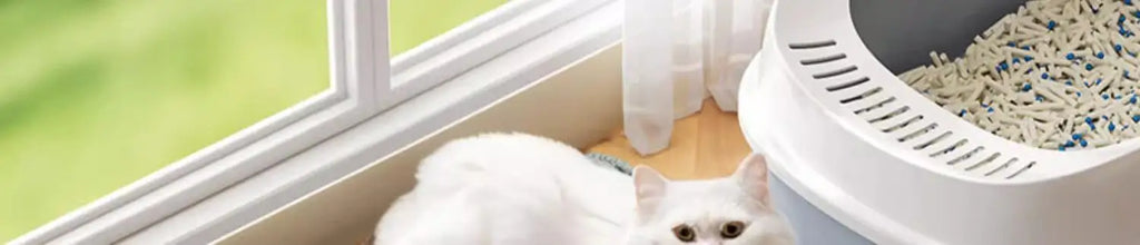 Extra Large Cat Litter Mat Waterproof