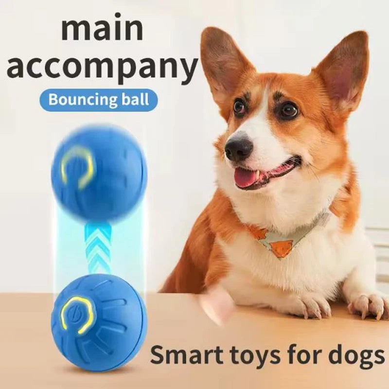 Automatic Moving Pet Toy Ball USB