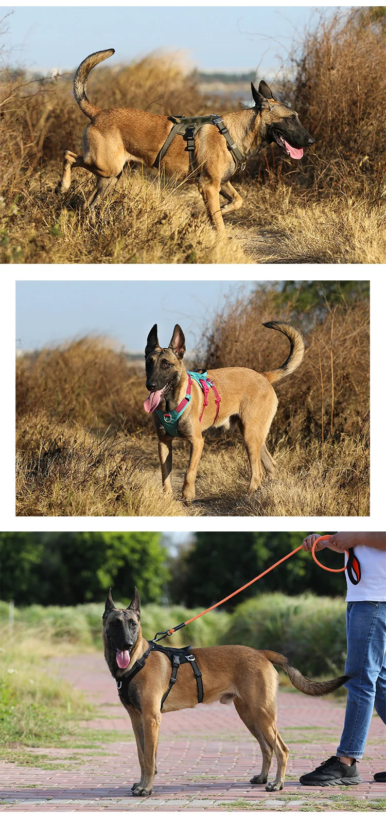 Escape Proof Reflective Dog Harness No Pull