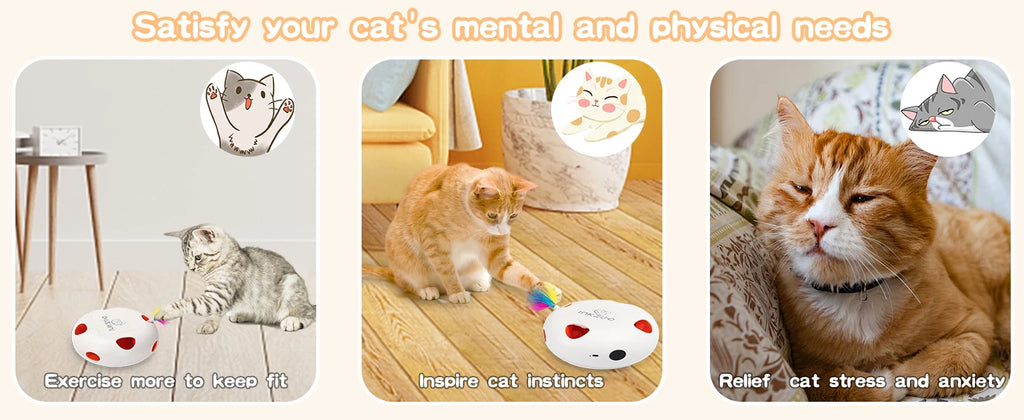 Interactive Cat Toy Whack A Mole
