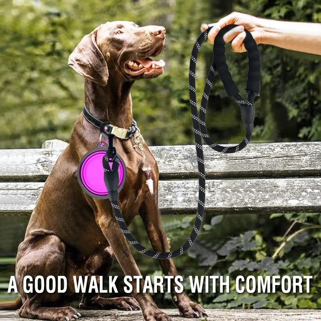 Reflective Dog Leash Strong Pull Control