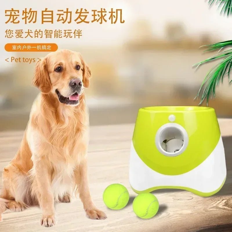 Automatic Dog Ball Launcher Toy - Petnivo