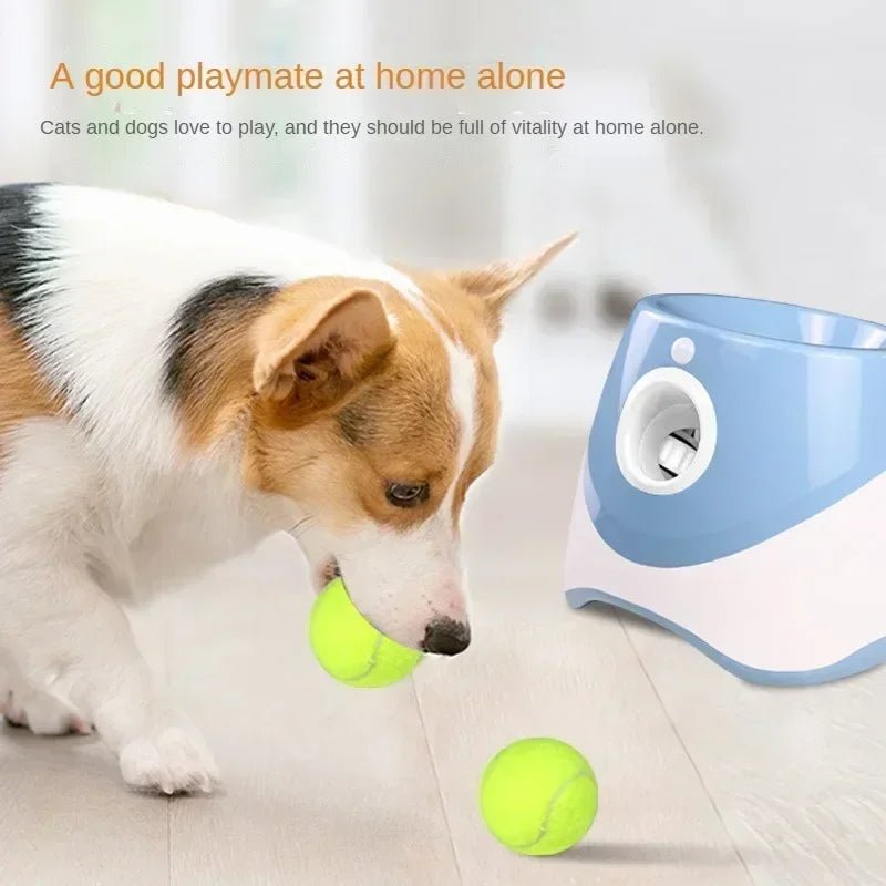 Automatic Dog Ball Launcher Toy - Petnivo