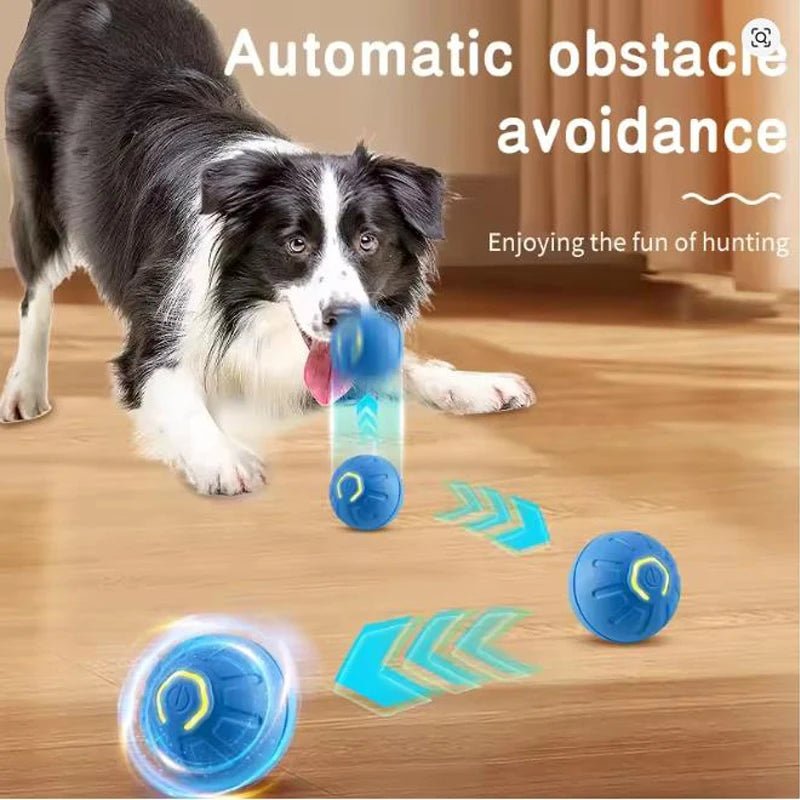 Automatic Moving Pet Toy Ball USB - Petnivo
