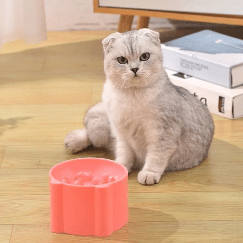 Cat Slow Feeder Bowl Anti Choking - Petnivo