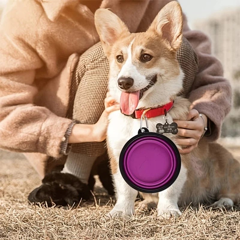Collapsible Pet Travel Bowl - Petnivo