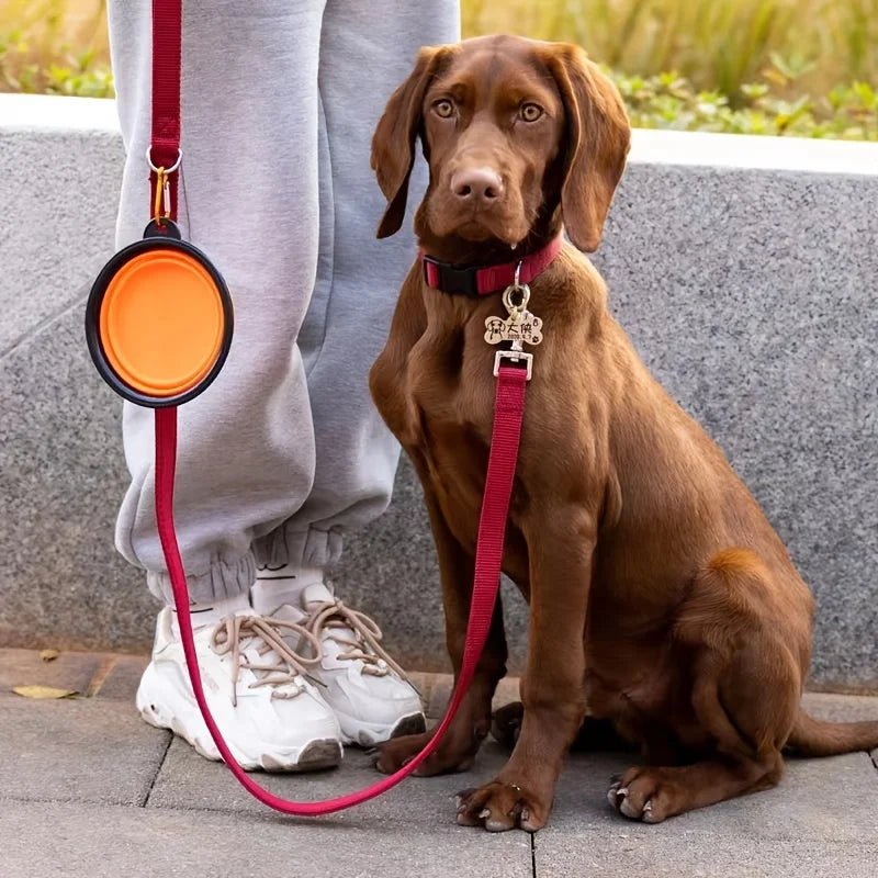 Collapsible Pet Travel Bowl - Petnivo