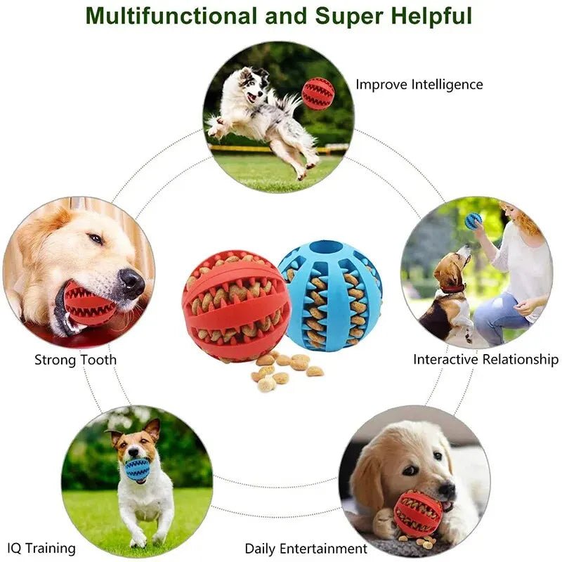 Dog Treat Dispensing Chew Ball - Petnivo