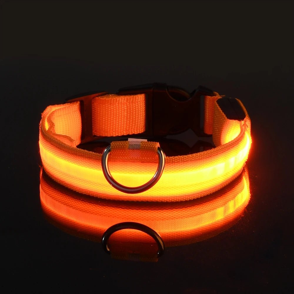 LED Dog Leash Glow Safety Collar - Petnivo