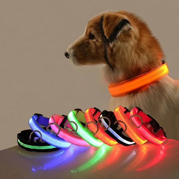 LED Dog Leash Glow Safety Collar - Petnivo