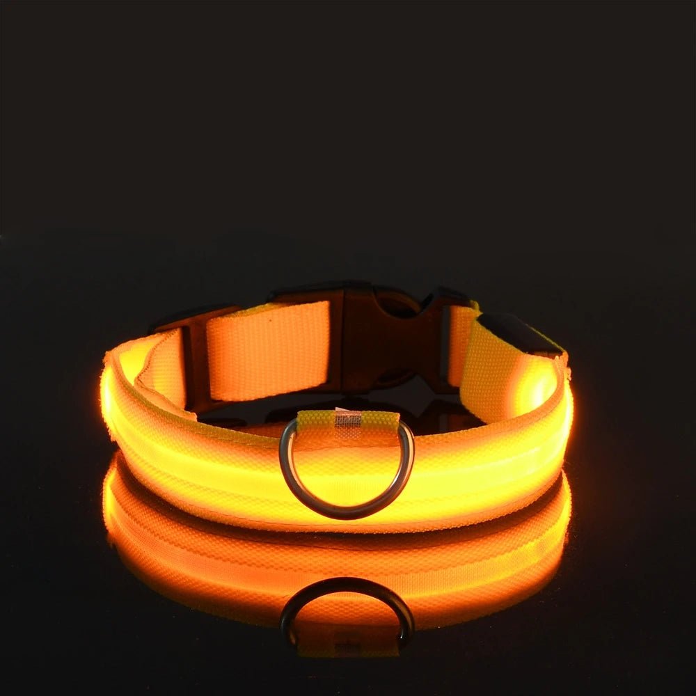 LED Dog Leash Glow Safety Collar - Petnivo