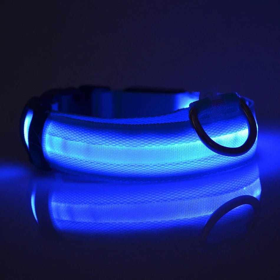 LED Dog Leash Glow Safety Collar - Petnivo