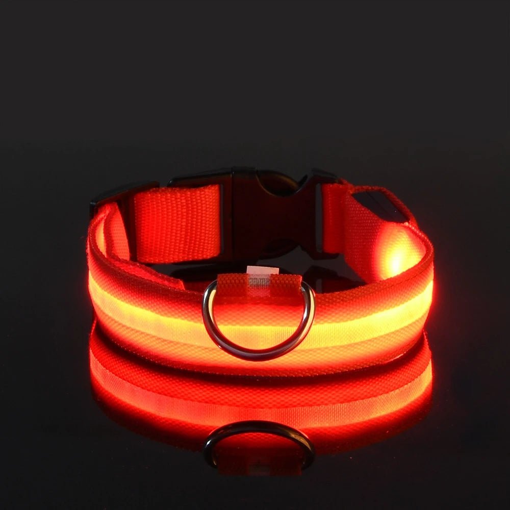 LED Dog Leash Glow Safety Collar - Petnivo