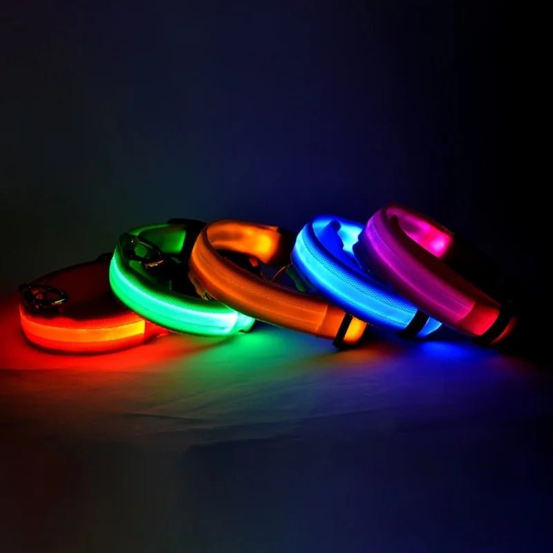 LED Dog Leash Glow Safety Collar - Petnivo