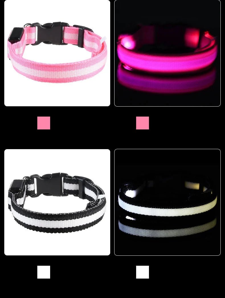 LED Dog Leash Glow Safety Collar - Petnivo