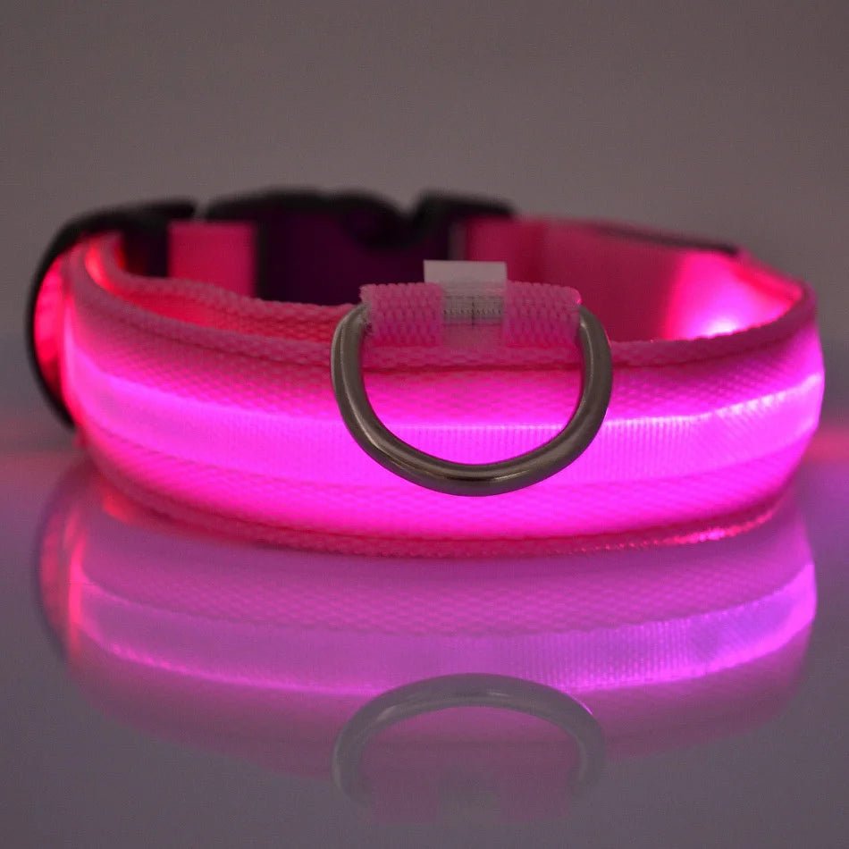 LED Dog Leash Glow Safety Collar - Petnivo
