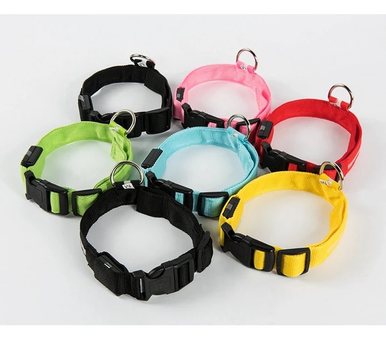 LED Dog Leash Glow Safety Collar - Petnivo