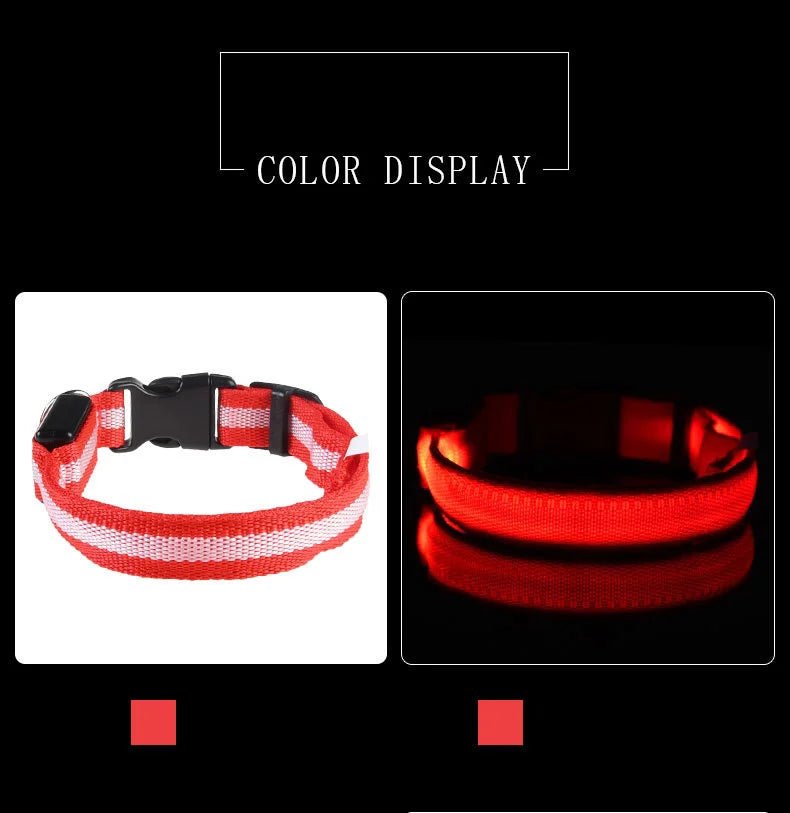 LED Dog Leash Glow Safety Collar - Petnivo