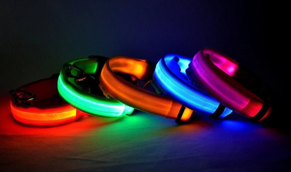 LED Dog Leash Glow Safety Collar - Petnivo