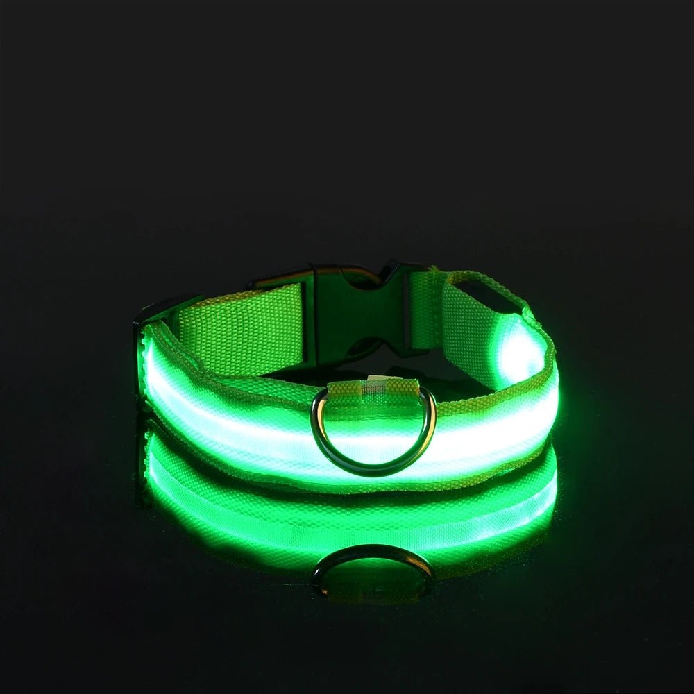 LED Dog Leash Glow Safety Collar - Petnivo