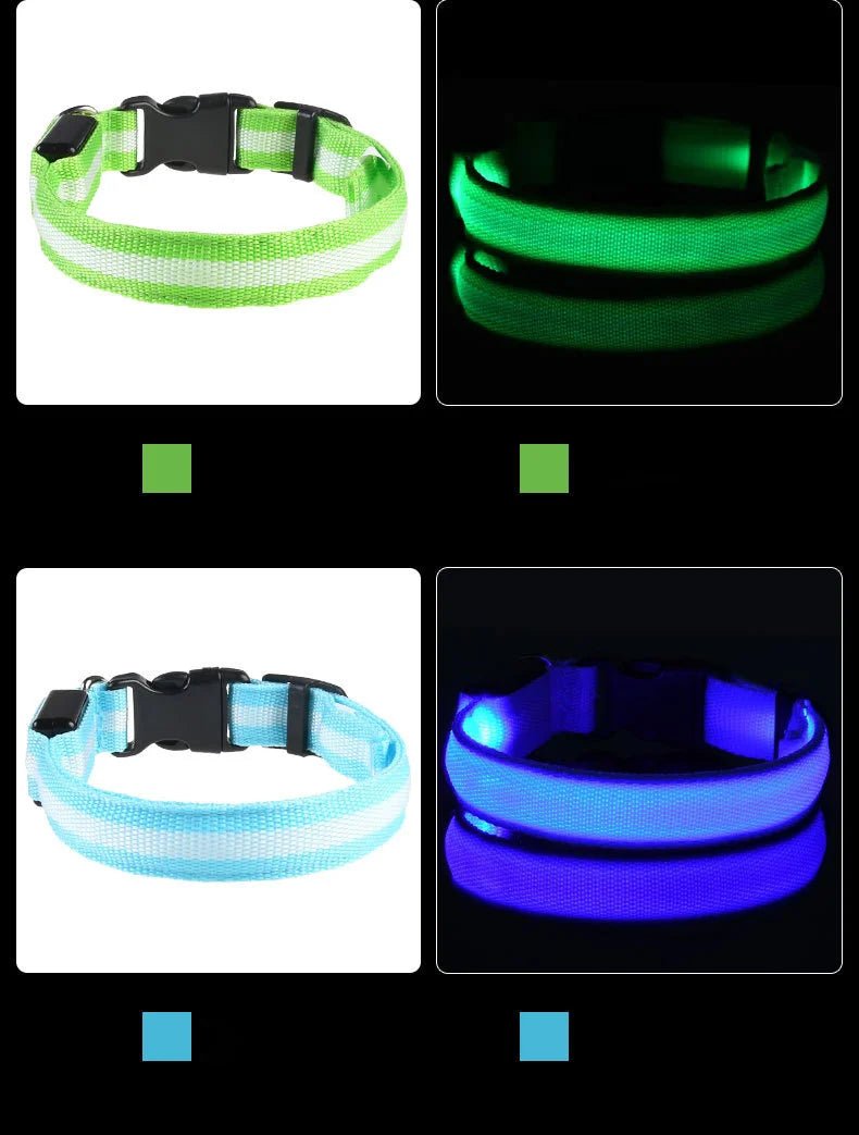 LED Dog Leash Glow Safety Collar - Petnivo