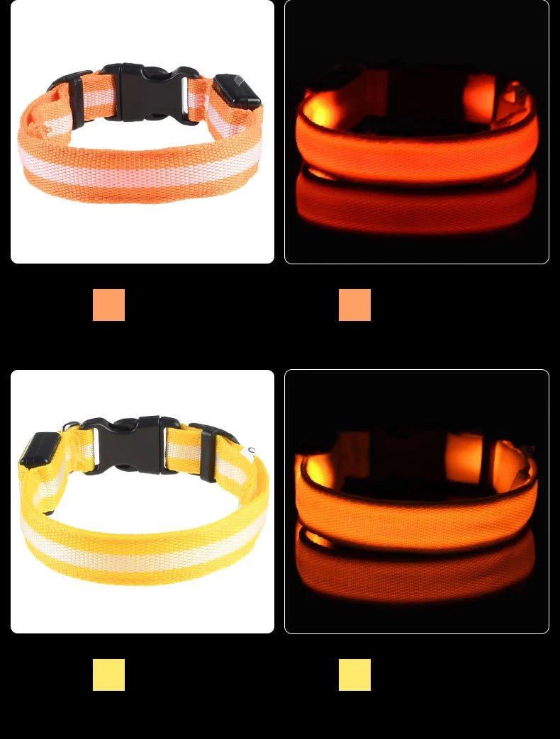 LED Dog Leash Glow Safety Collar - Petnivo
