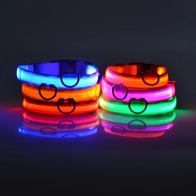 LED Dog Leash Glow Safety Collar - Petnivo