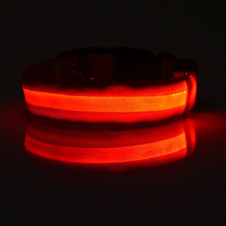 LED Dog Leash Glow Safety Collar - Petnivo