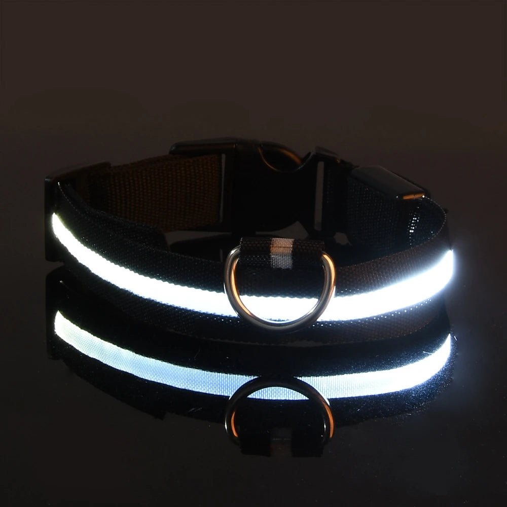 LED Dog Leash Glow Safety Collar - Petnivo