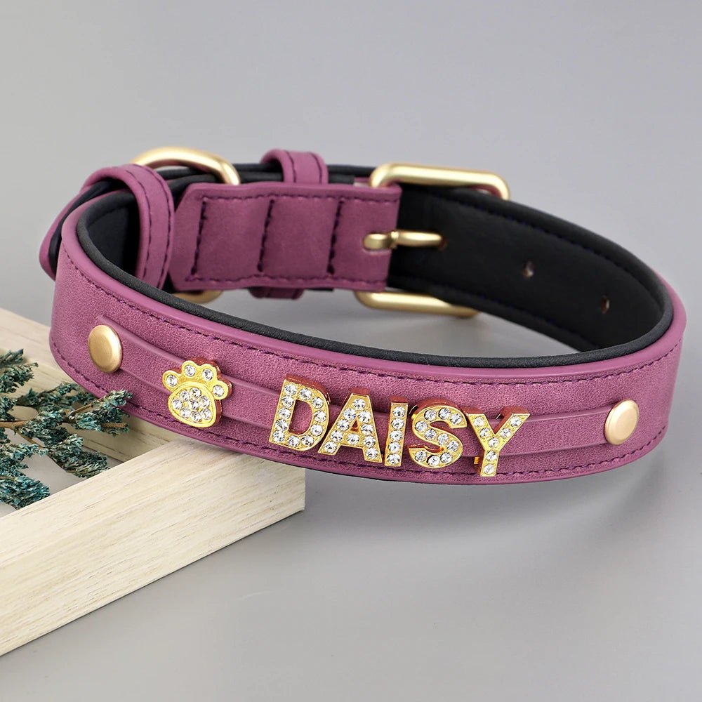 Personalized Leather Dog Collar Name Tag - Petnivo