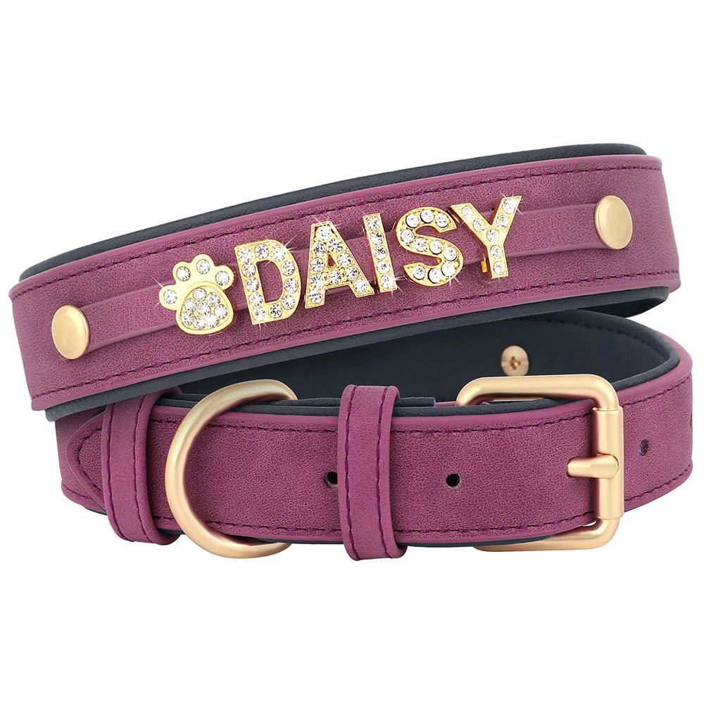 Personalized Leather Dog Collar Name Tag - Petnivo